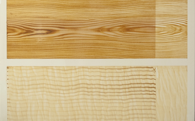 Malermeister Florian Tschabitzer Uttendorf